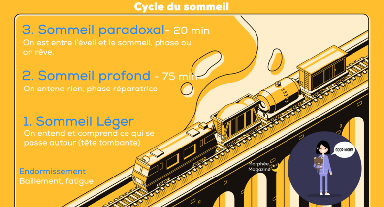 Les Cycles Du Sommeil : Guide [Durée Et Schéma]